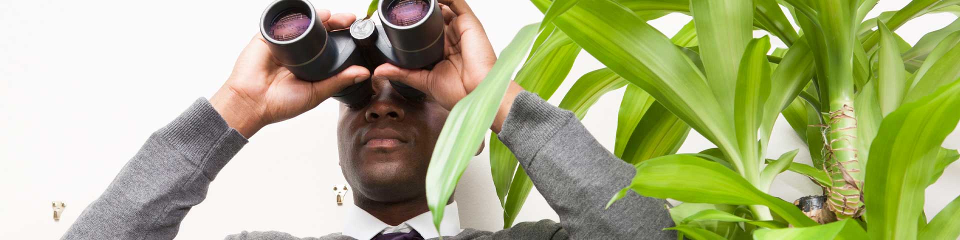 What Does a Private Investigator Really Do?